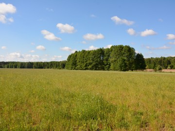 Dzień Łąki na Polu Nieborowskim z Fundacją „Kwietna” , 